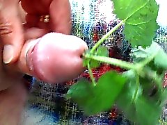 Stinging Nettle and Mohair Masturbation 5