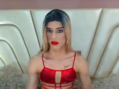 Ladyboy seductora acaricia su larga polla erecta