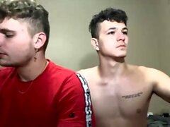 Liteblowjob med sexigt homosexuellt par