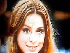 Lena Meyer- Landrut - Cumpilation - Volumen . 3 de