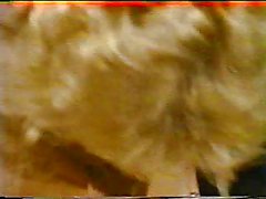 Nina Hartley - Full Service Krankenschwester