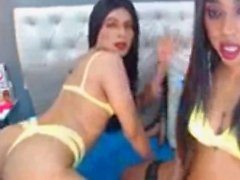 Com Transsexuais dos pares suja Quartos Cock Sucking